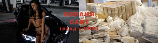 шишки Нефтегорск