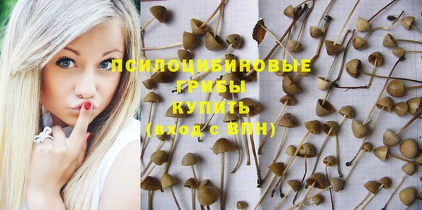 стафф Нея