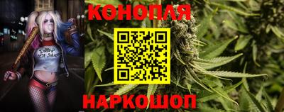 PSILOCYBIN Гагарин