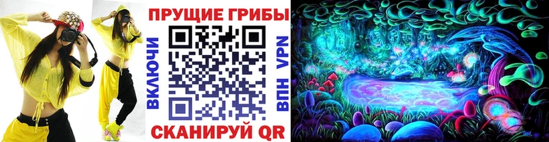 OMG   Казань  Галлюциногенные грибы мицелий 