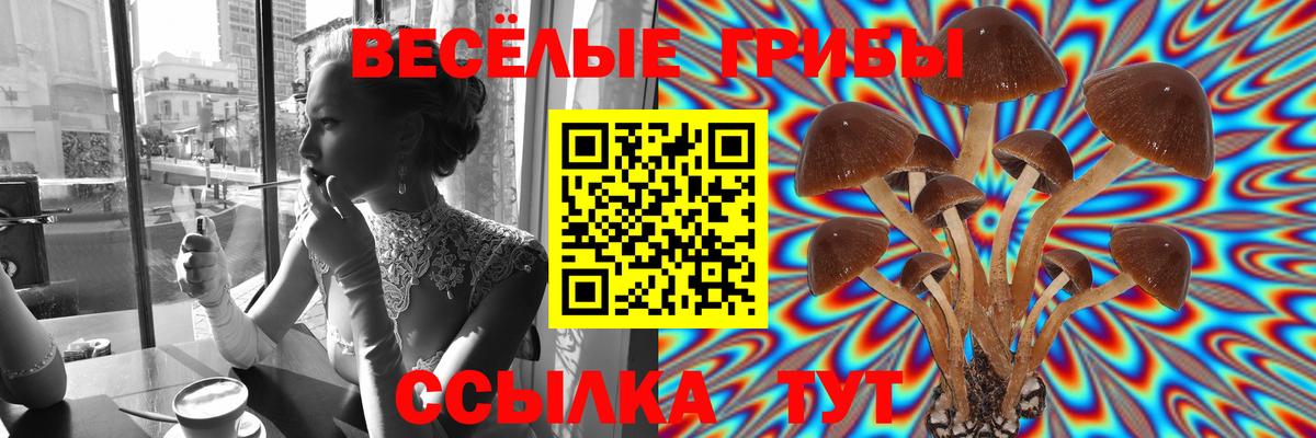 Казань  Псилоцибиновые грибы ЛСД  Вход с VPN  Псилоцибиновые грибы Psilocybine cubensis 