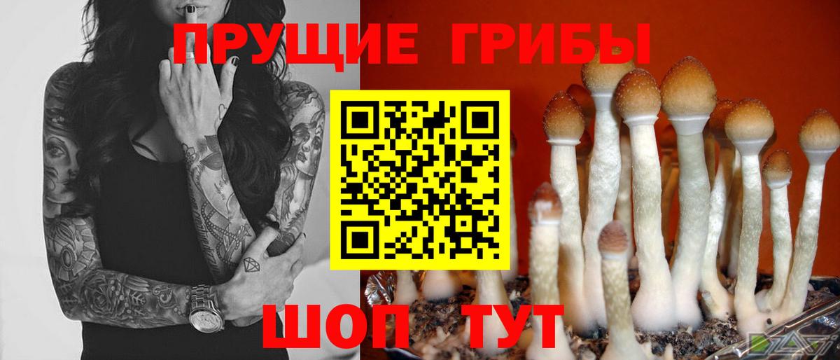 Галлюциногенные грибы Magic Shrooms Казань