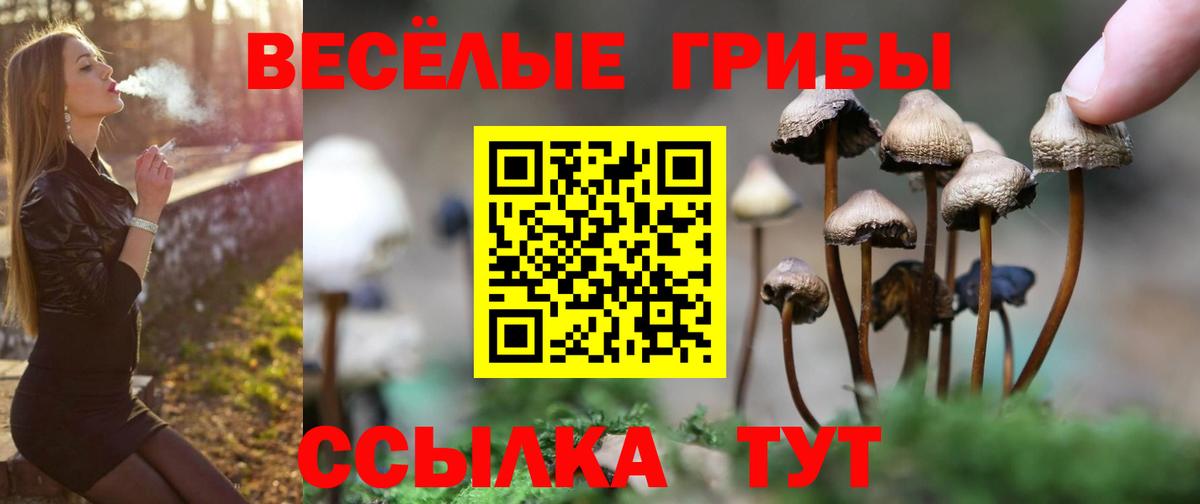 Псилоцибиновые грибы ЛСД Казань